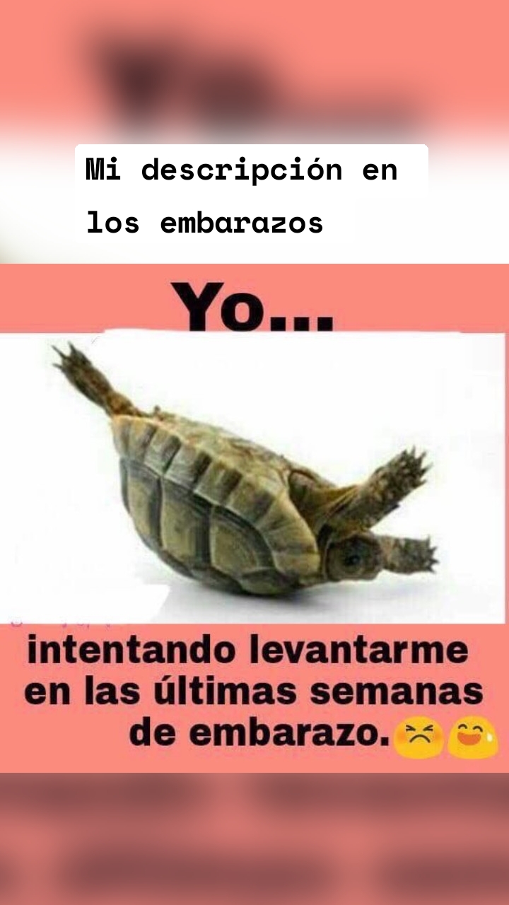 Mi descripción en los embarazos 